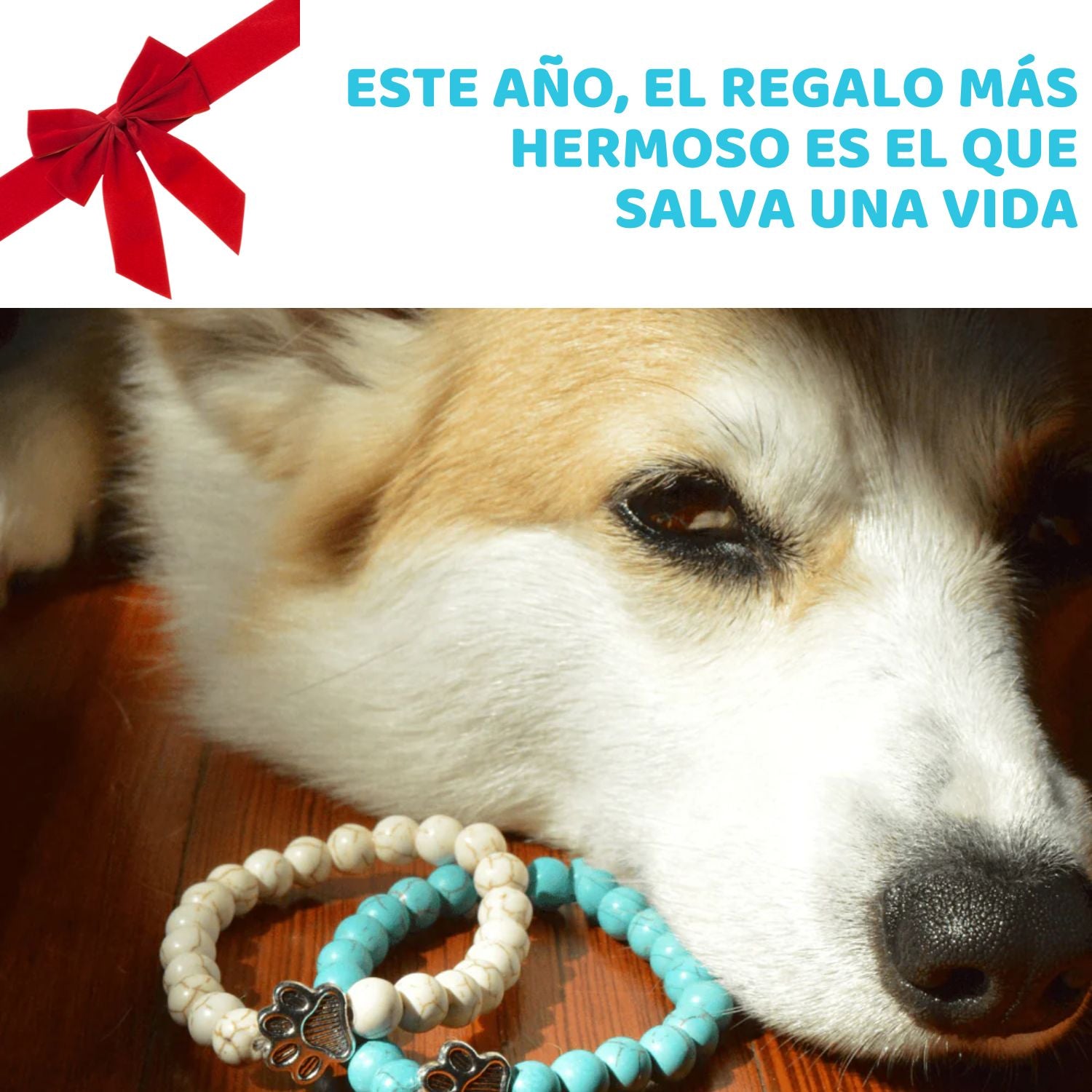 Pulsera - Amo a los Perros